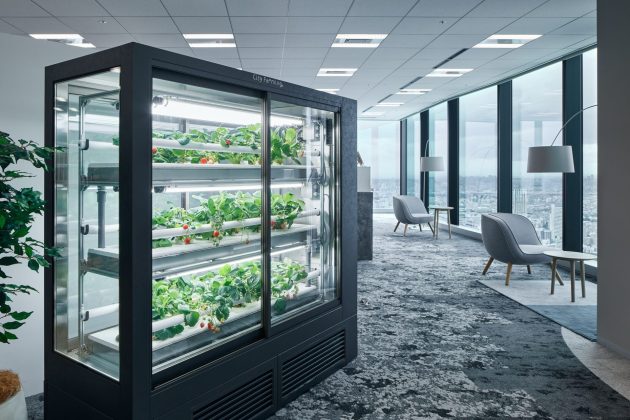 都心のオフィスでいちごを栽培<br>日販City Farming事業×オカムラ<br>オフィス向け植物工場パッケージの開発をスタート