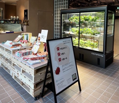 採れたてのいちごが店内で食べられる!<br>中日ビルにオープンした「文喫 栄」に<br>年中いちごが実る植物工場「City Farming」を導入